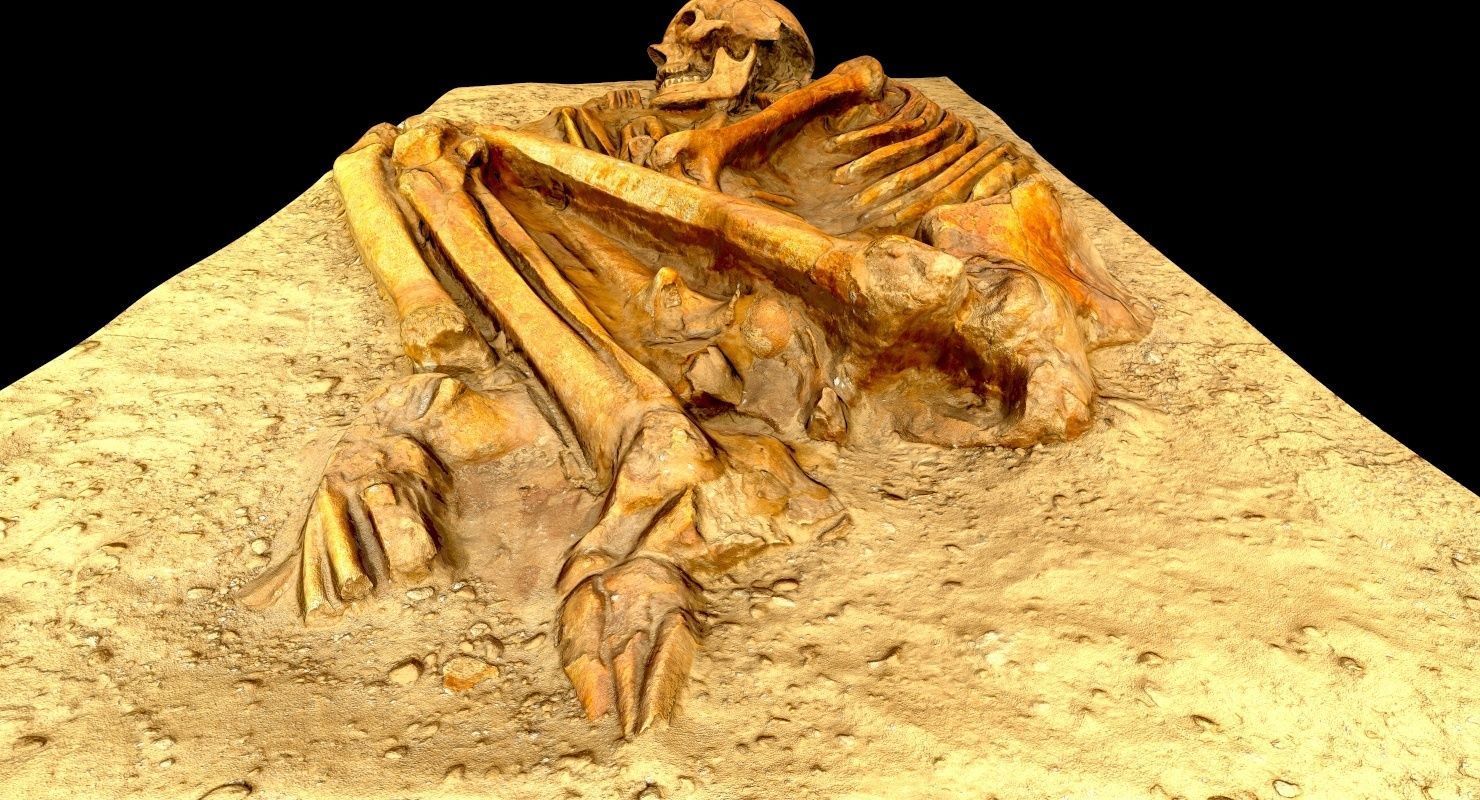 Real humen sceleton Low-poly 3D model_16