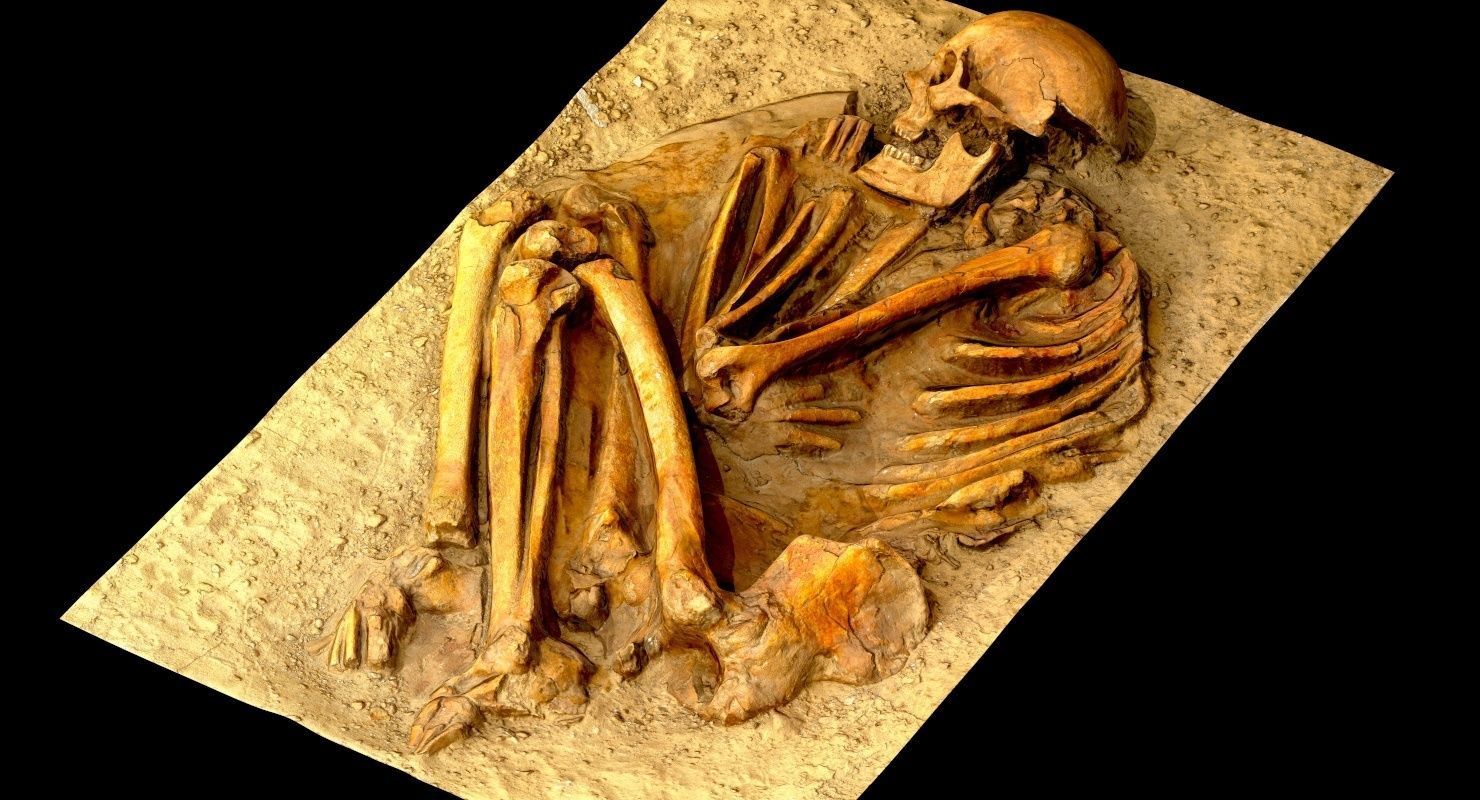 Real humen sceleton Low-poly 3D model_19