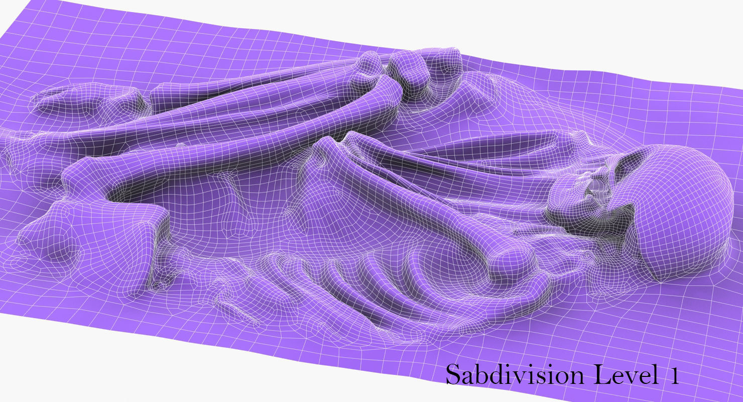 Real humen sceleton Low-poly 3D model_12