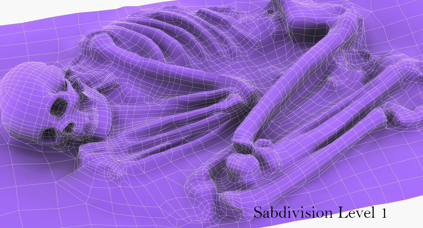 Real humen sceleton Low-poly 3D model_10