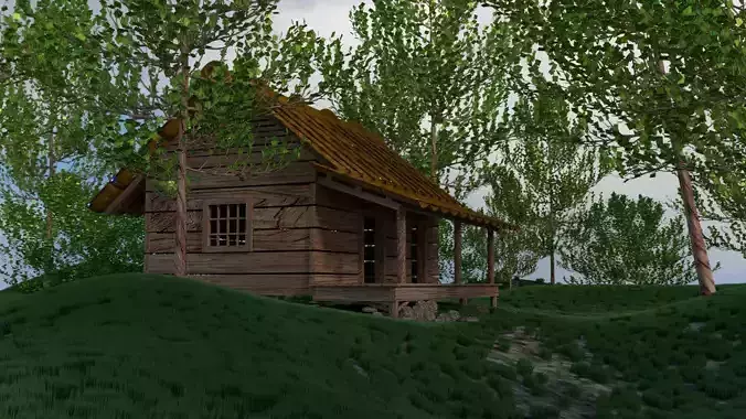 Old House in the Forest