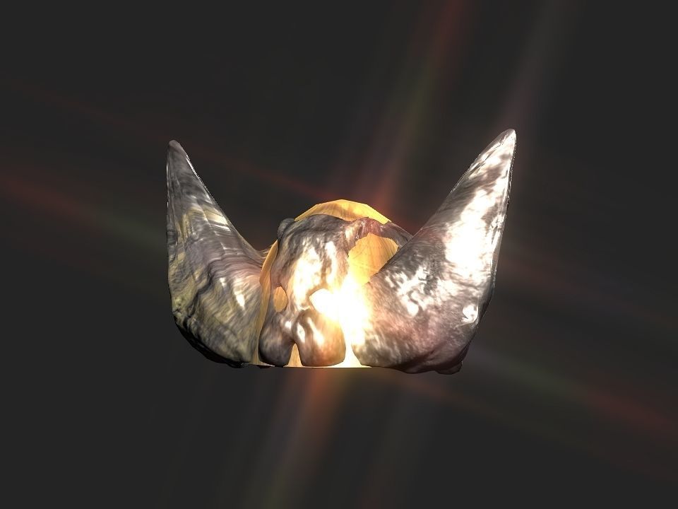 Winged bear viking helmet Low-poly 3D model_35
