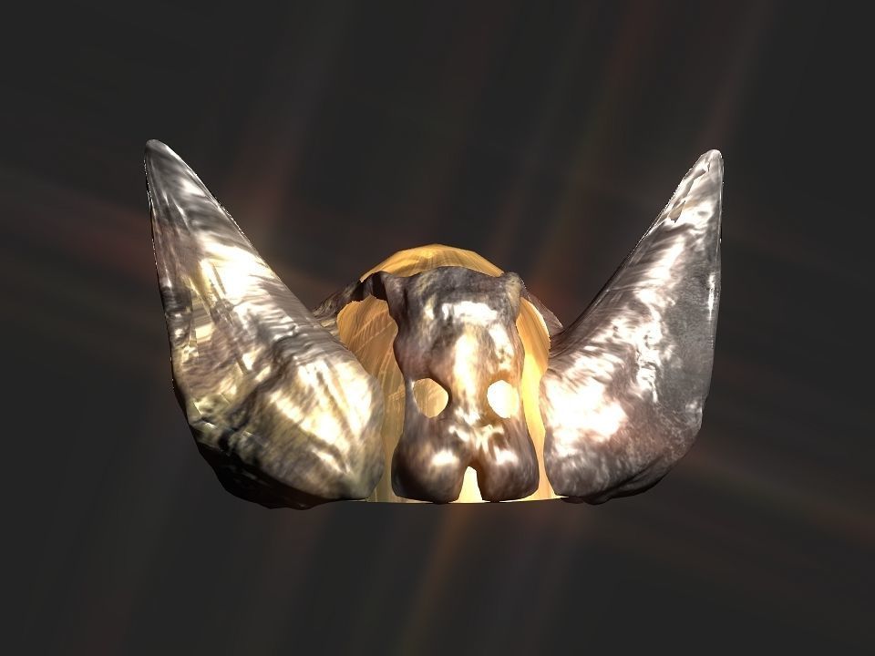 Winged bear viking helmet Low-poly 3D model_50