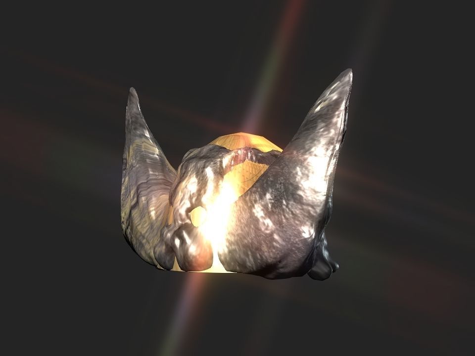 Winged bear viking helmet Low-poly 3D model_36