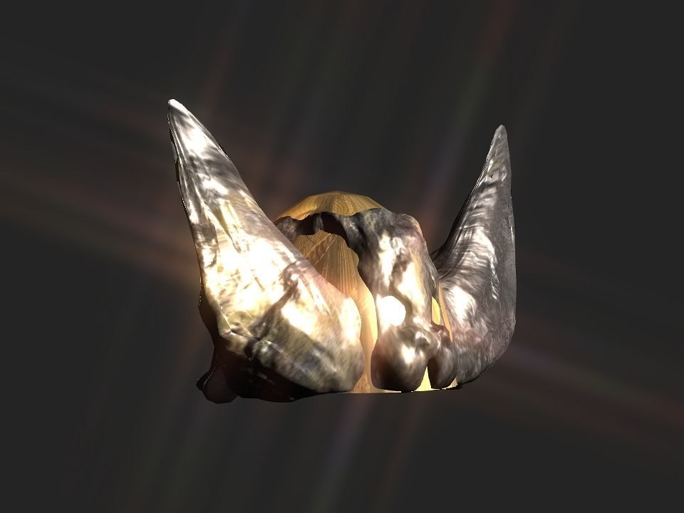 Winged bear viking helmet Low-poly 3D model_49