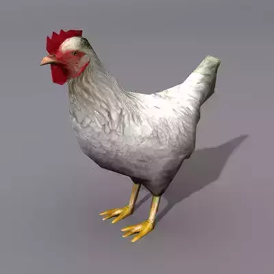 Lowpoly Hen 2 rooster