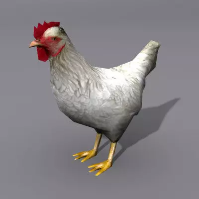 Lowpoly Hen Low-poly 3D model