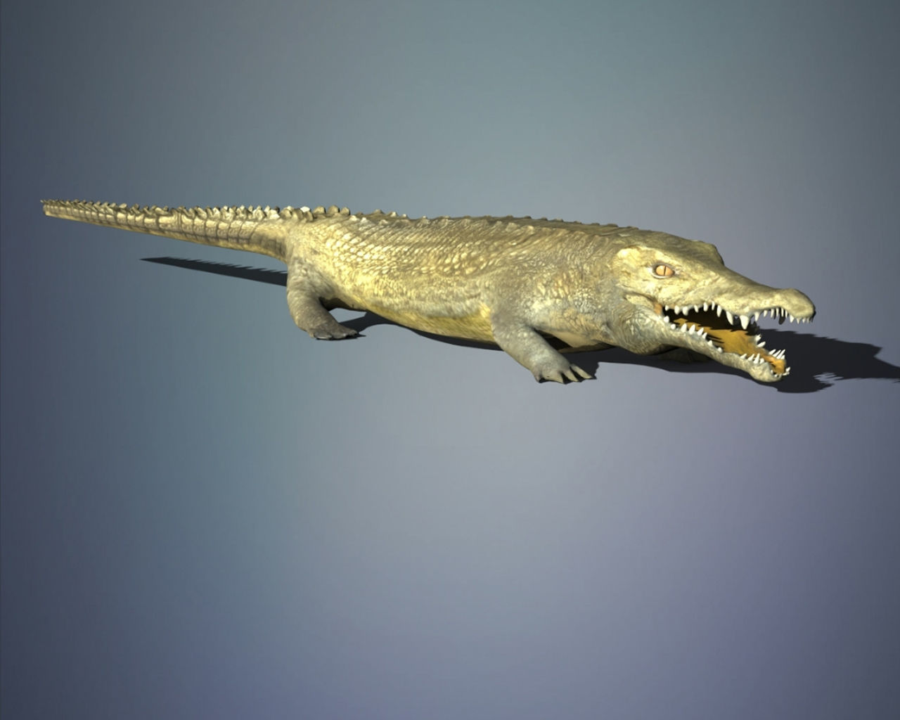 Crocodile 3D model_2