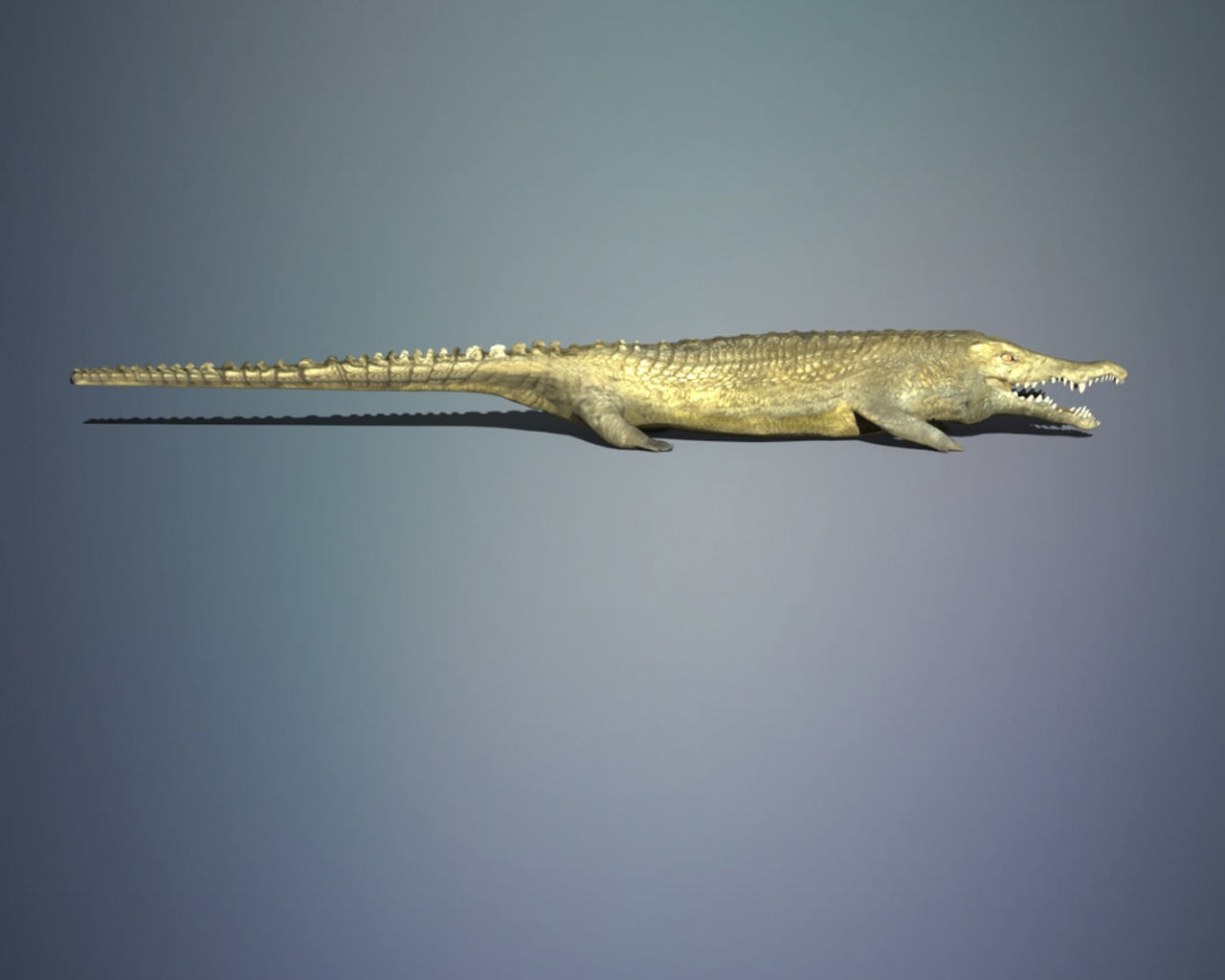 Crocodile 3D model_4