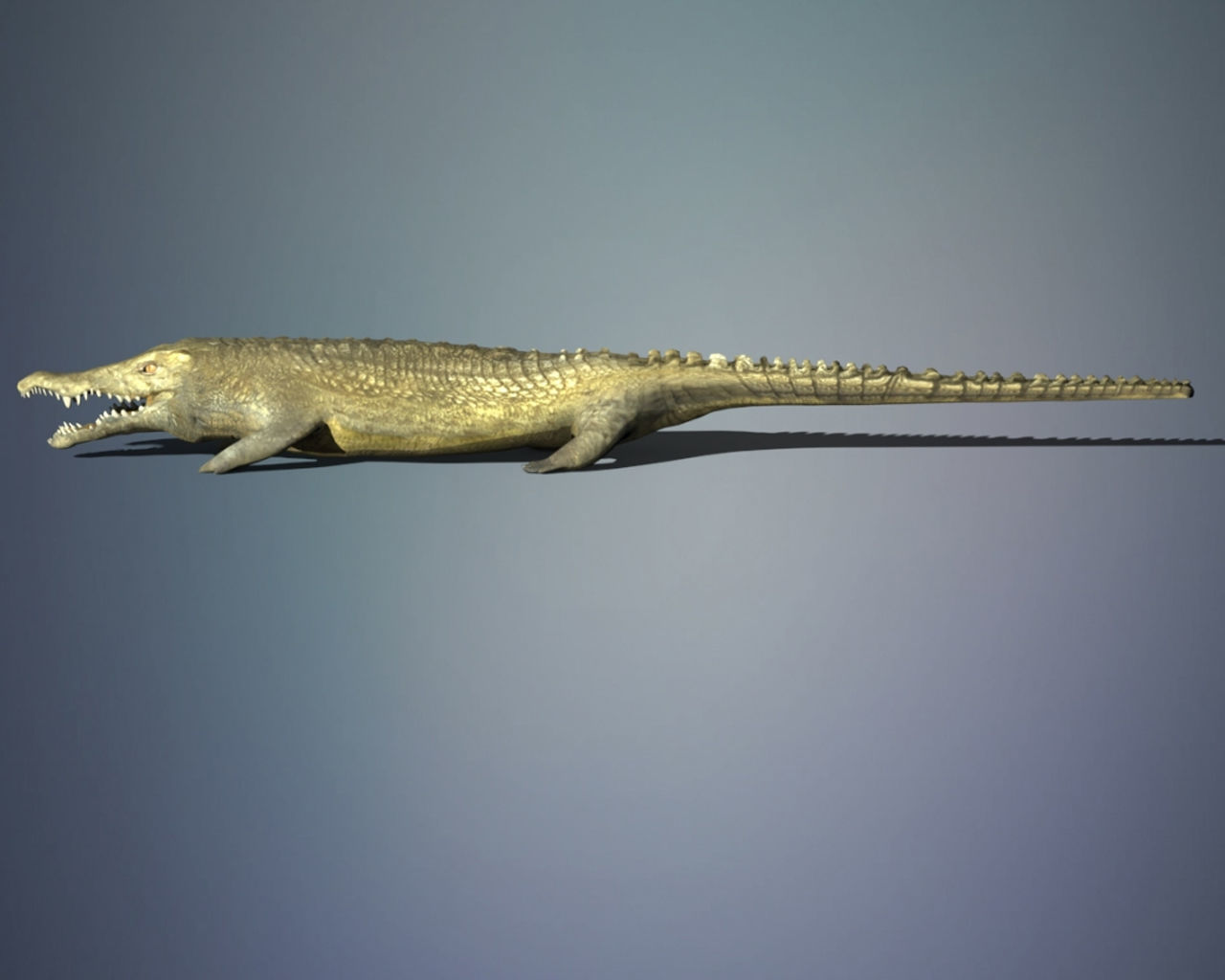 Crocodile 3D model_3