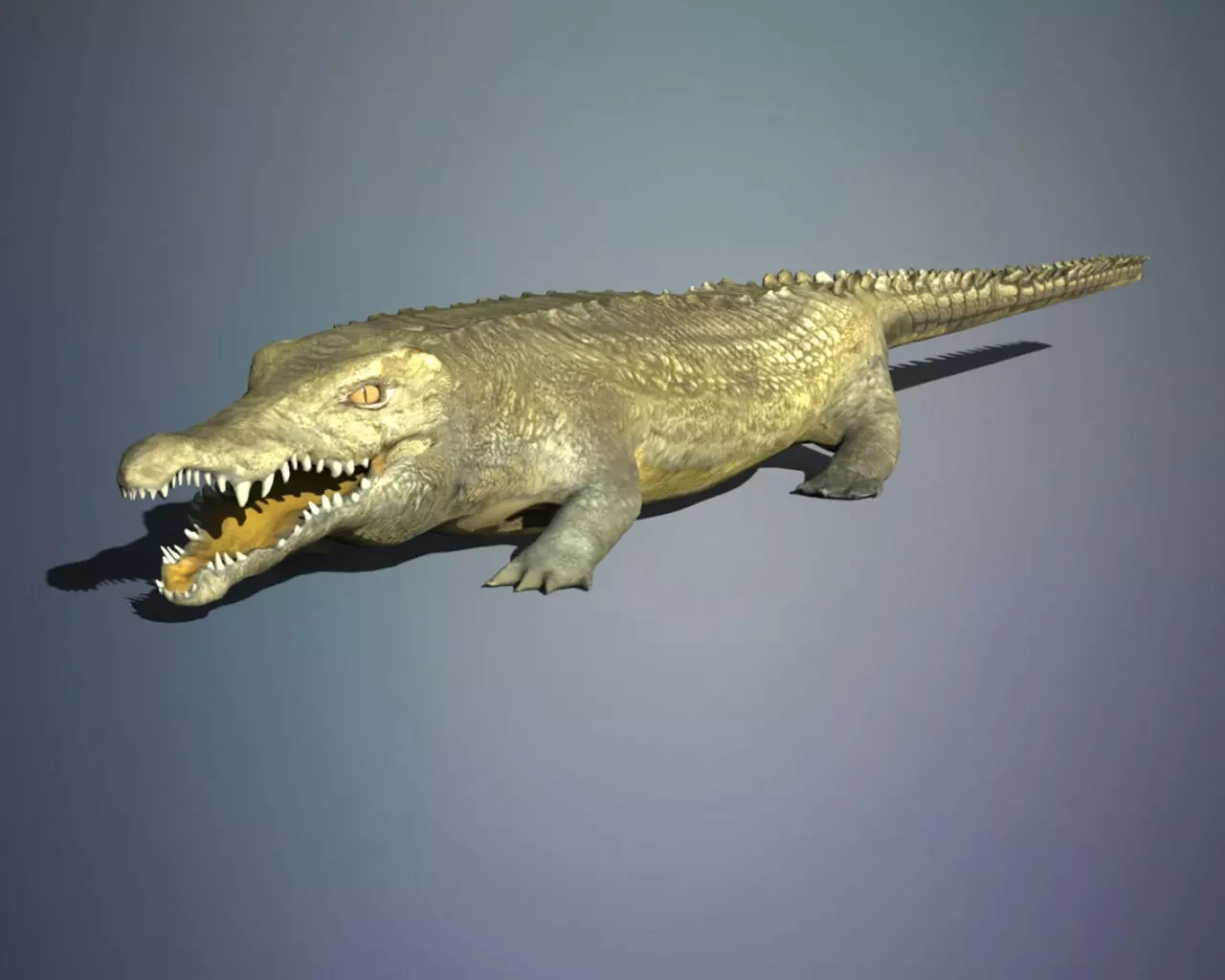 Crocodile 3D model_0