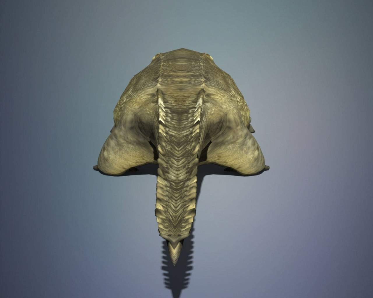 Crocodile 3D model_8