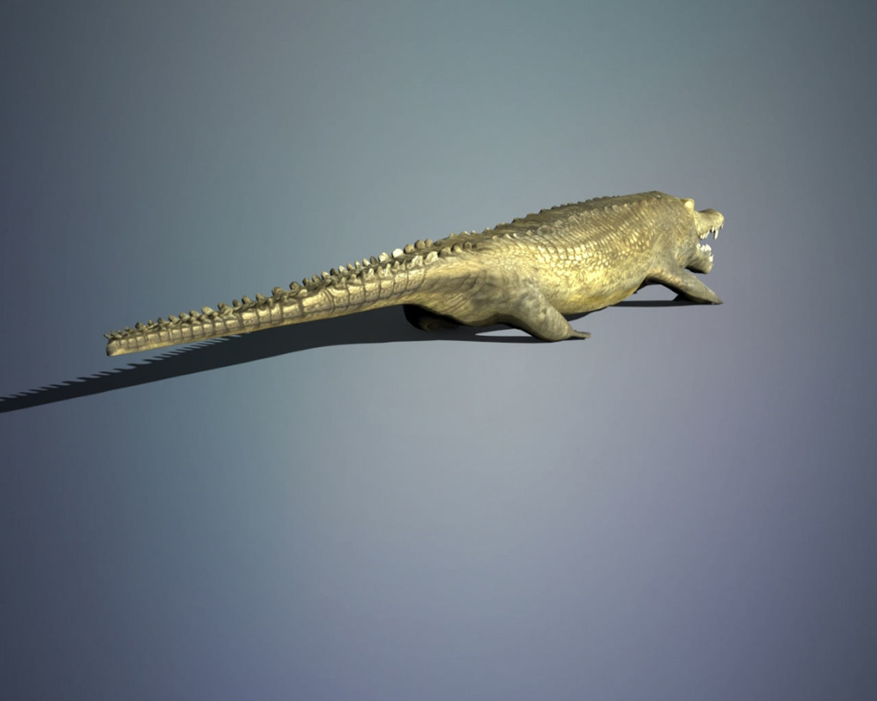 Crocodile 3D model_5