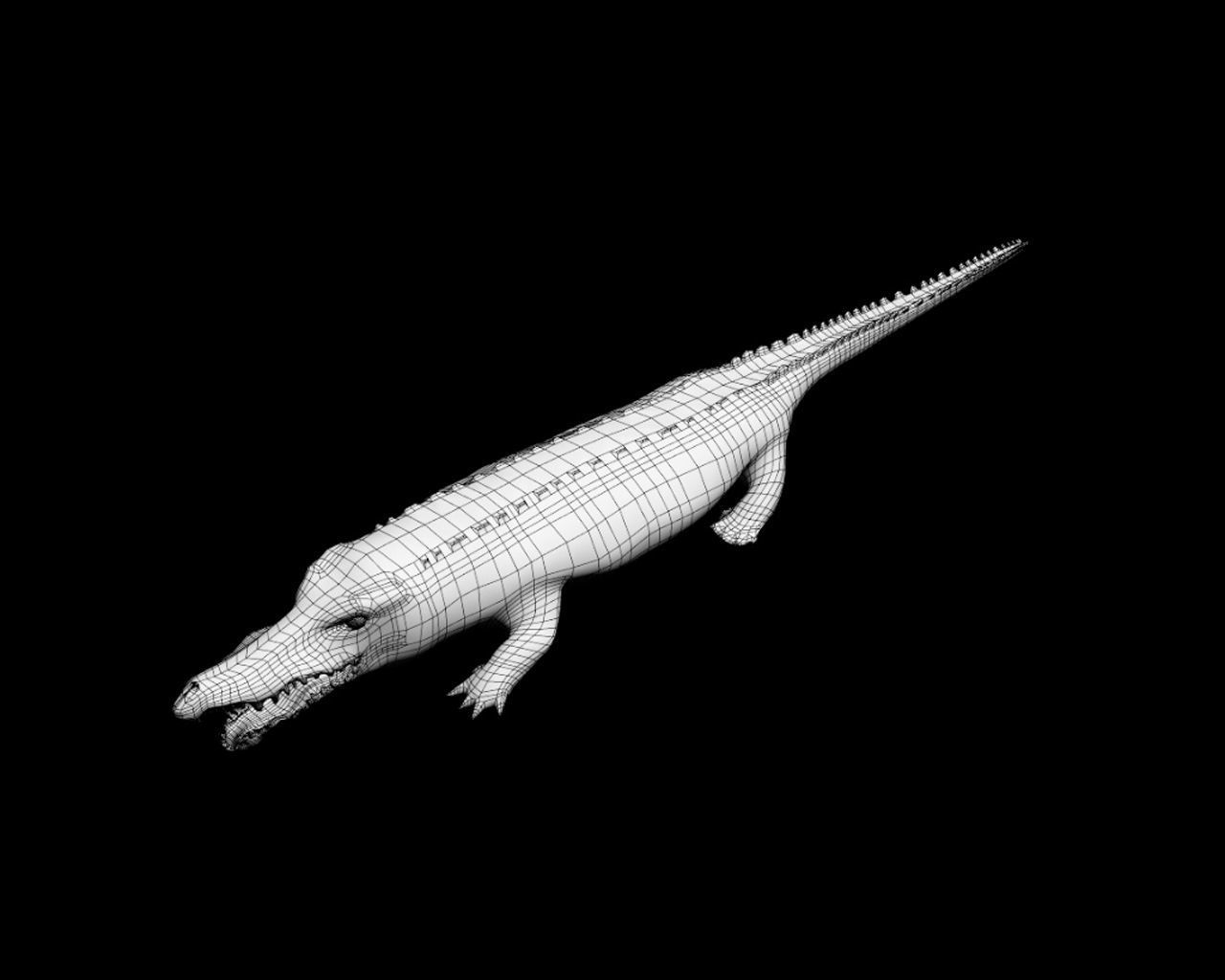 Crocodile 3D model_9