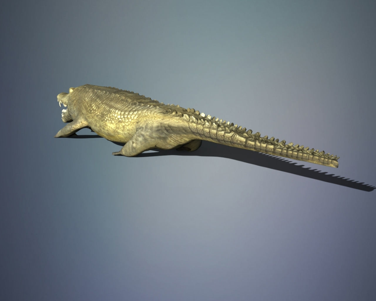 Crocodile 3D model_6