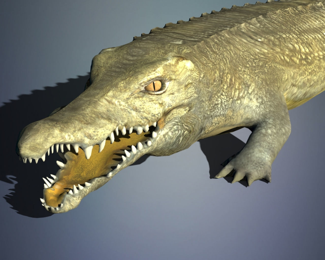 Crocodile 3D model_1