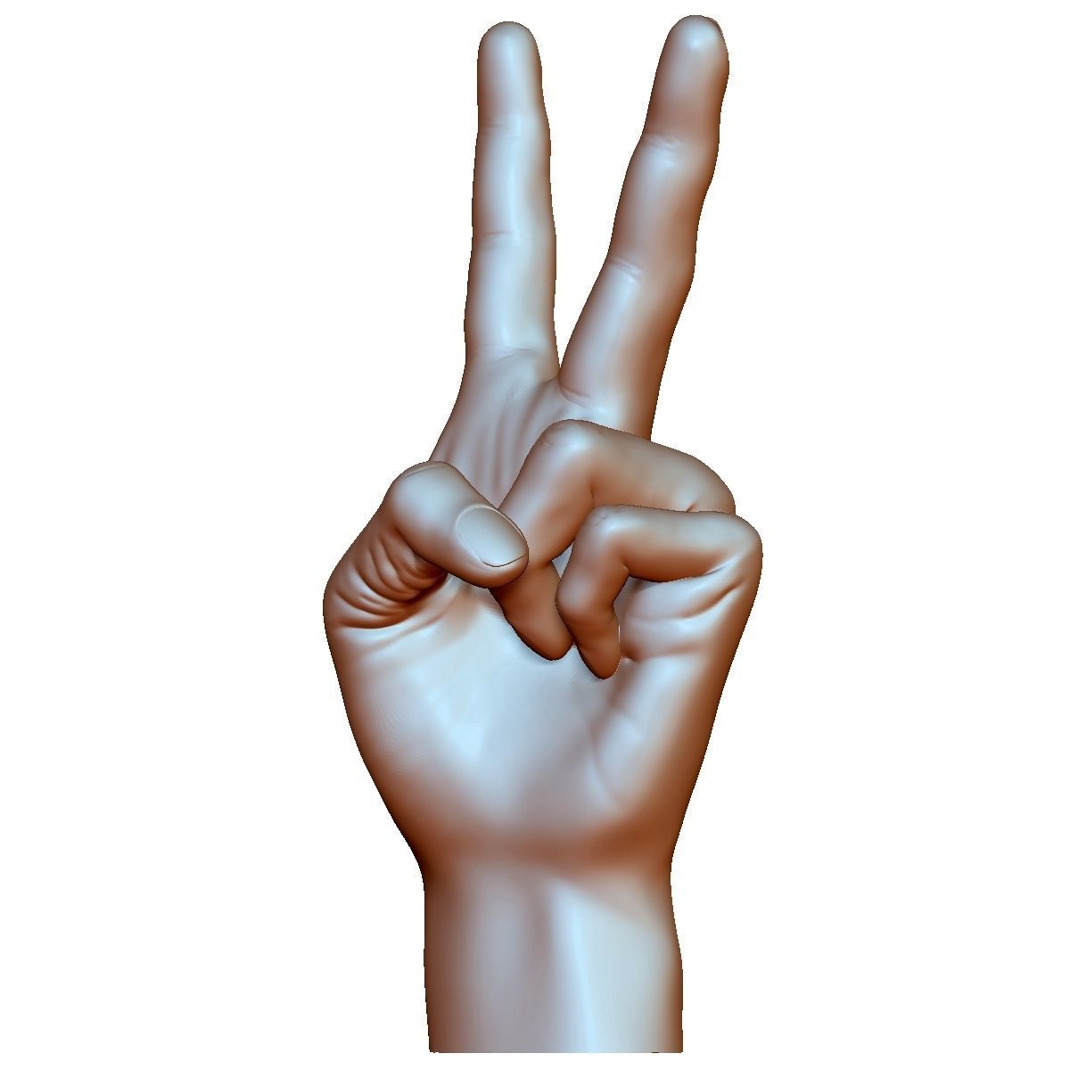 Victory sign hand male - 3D printable model 3D print model_1