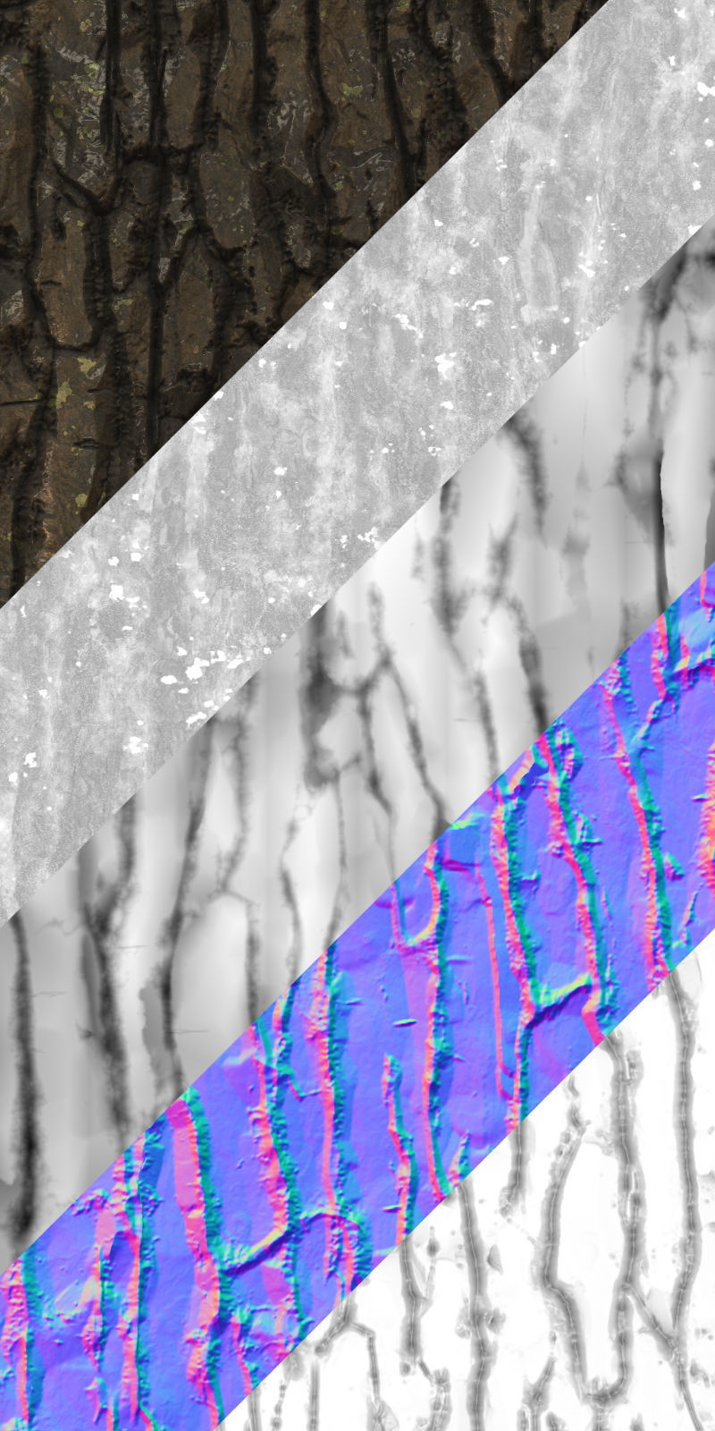 Pine Tree Pack 01 Low-poly 3D model_16