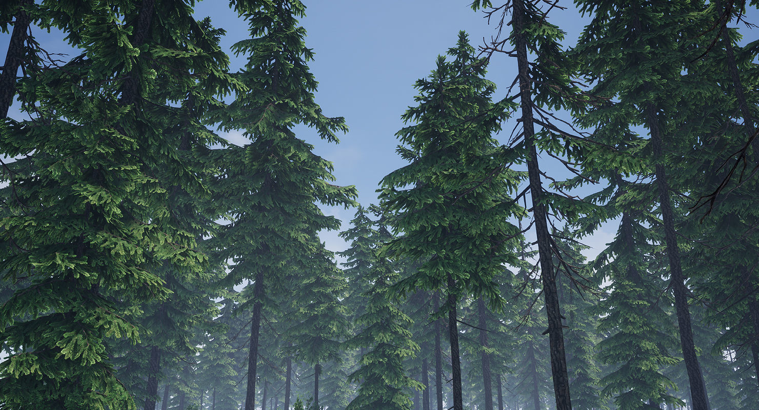 Pine Tree Pack 01 Low-poly 3D model_13