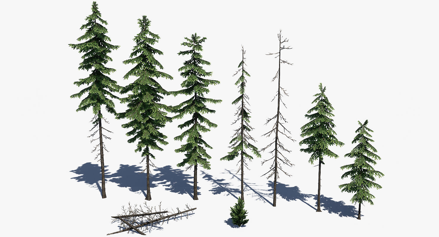 Pine Tree Pack 01 Low-poly 3D model_2