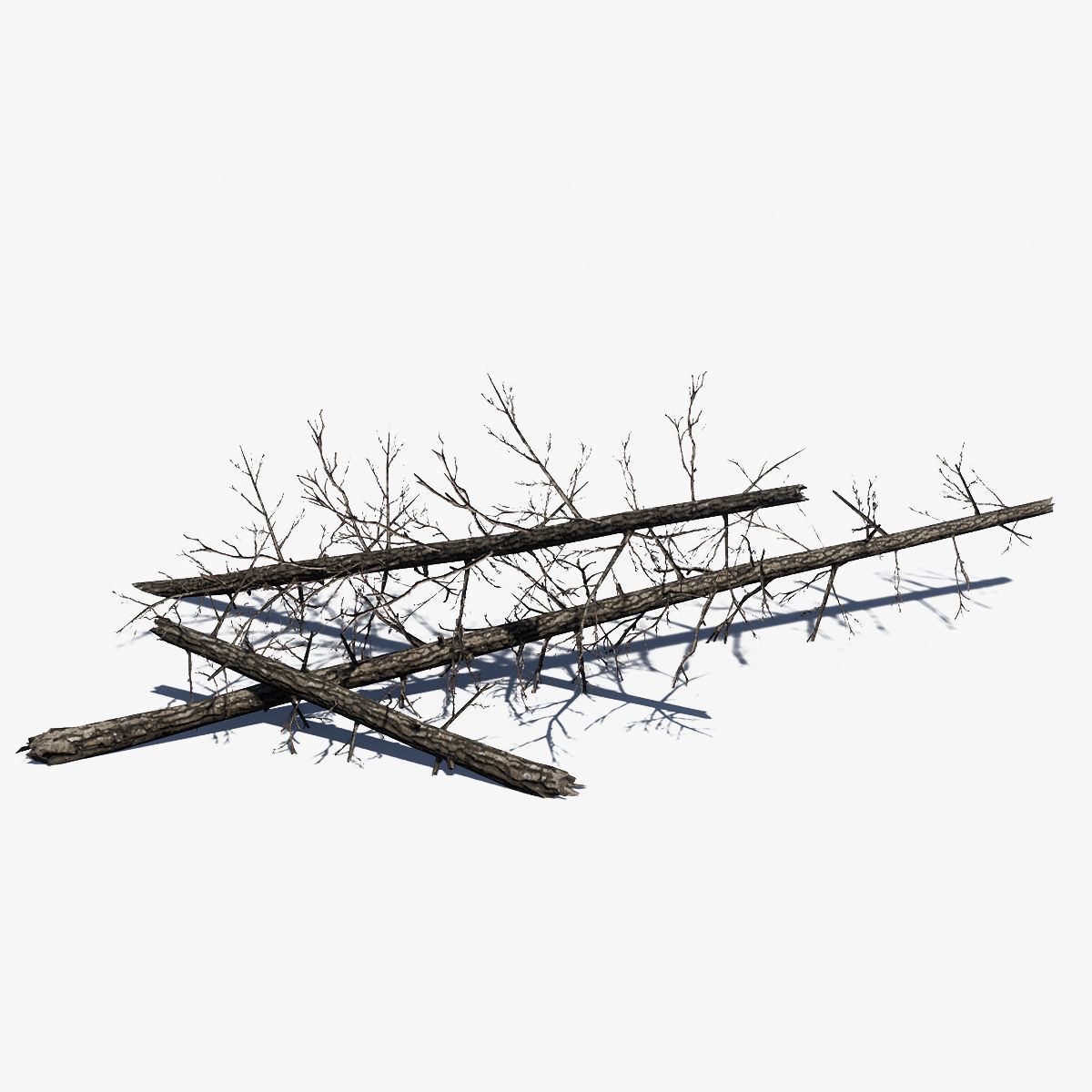 Pine Tree Pack 01 Low-poly 3D model_12