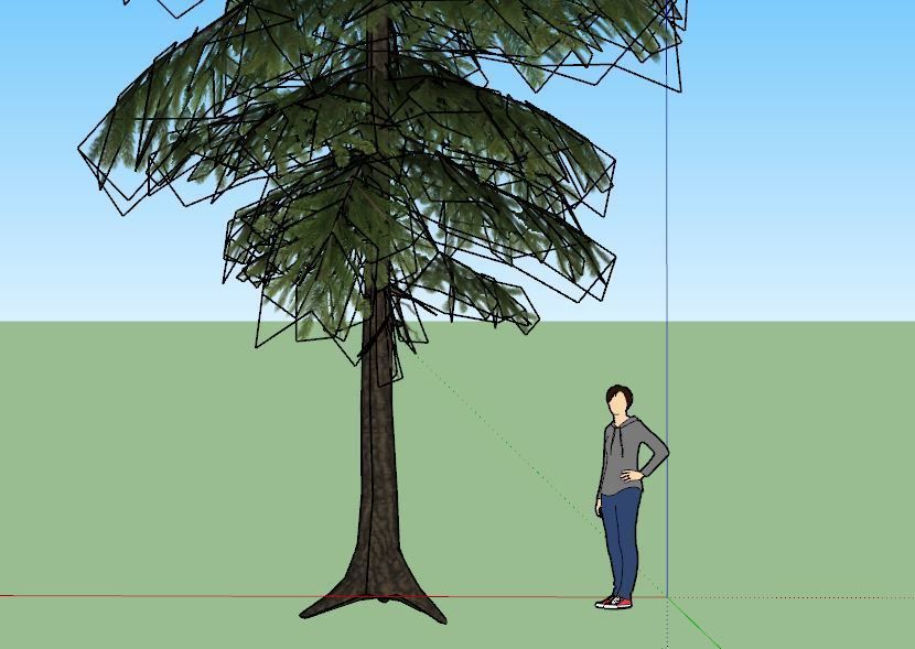 Pine Tree Pack 01 Low-poly 3D model_18