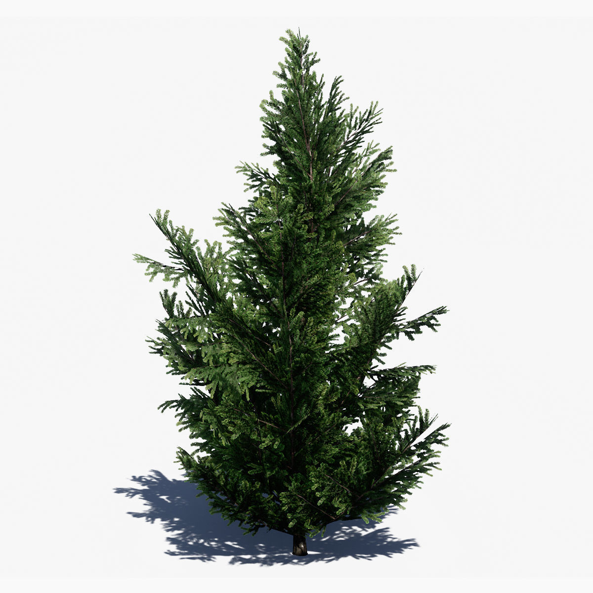 Pine Tree Pack 01 Low-poly 3D model_9