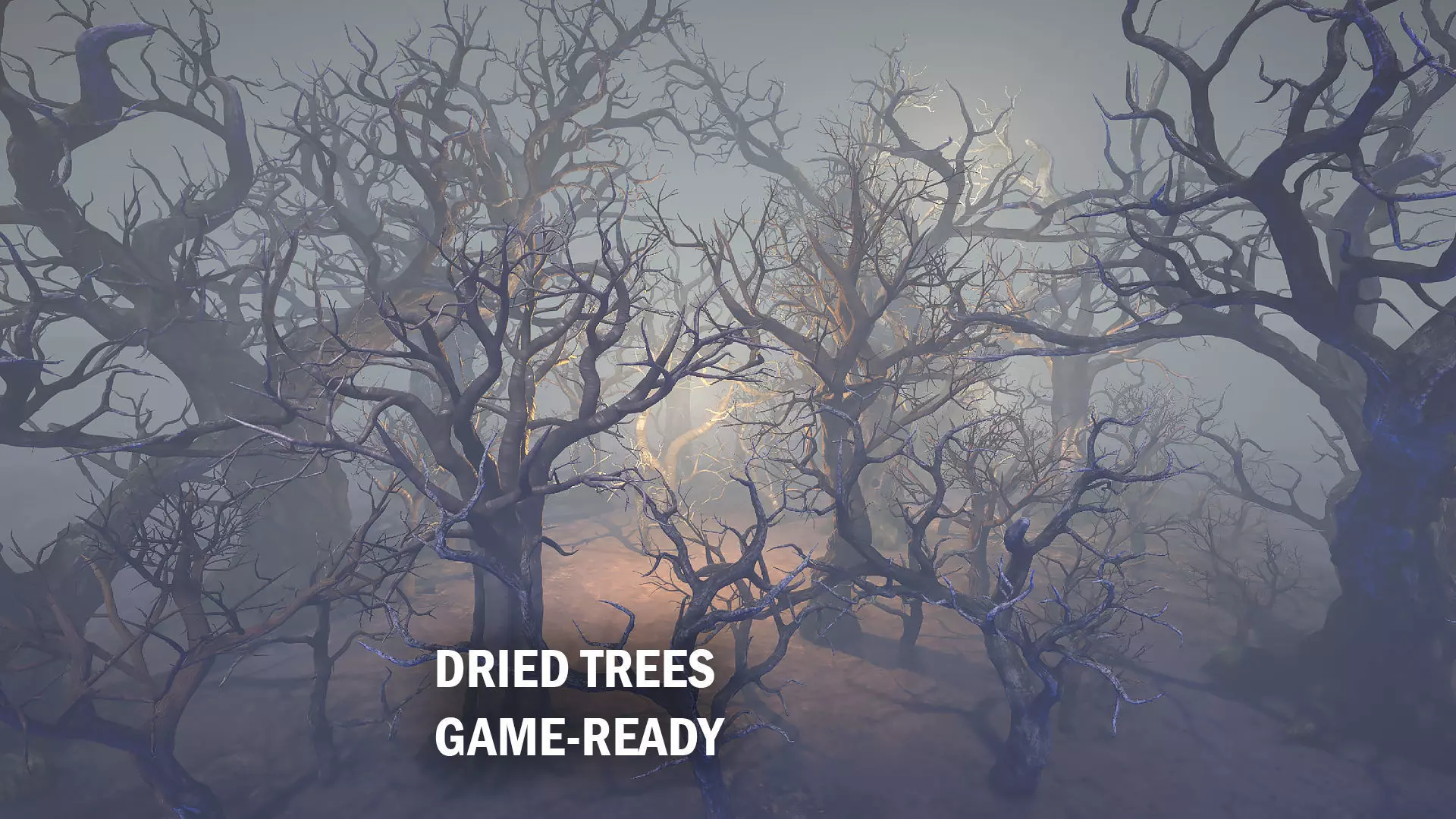 Dried trees Low-poly 3D model_0