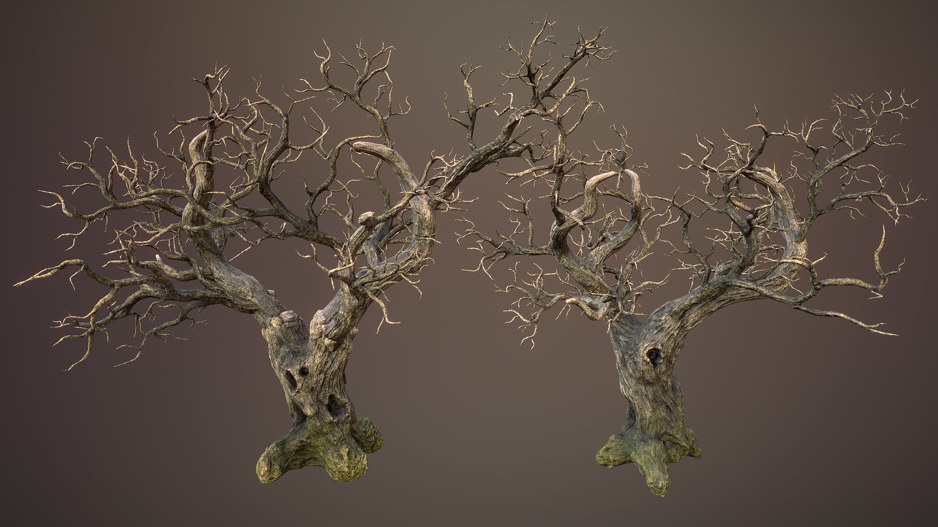 Dried trees Low-poly 3D model_3
