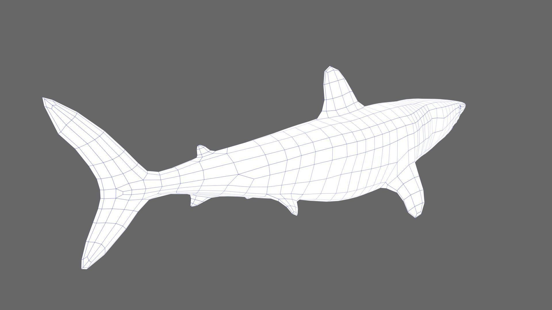 Shortfin Mako Shark 3D model_8