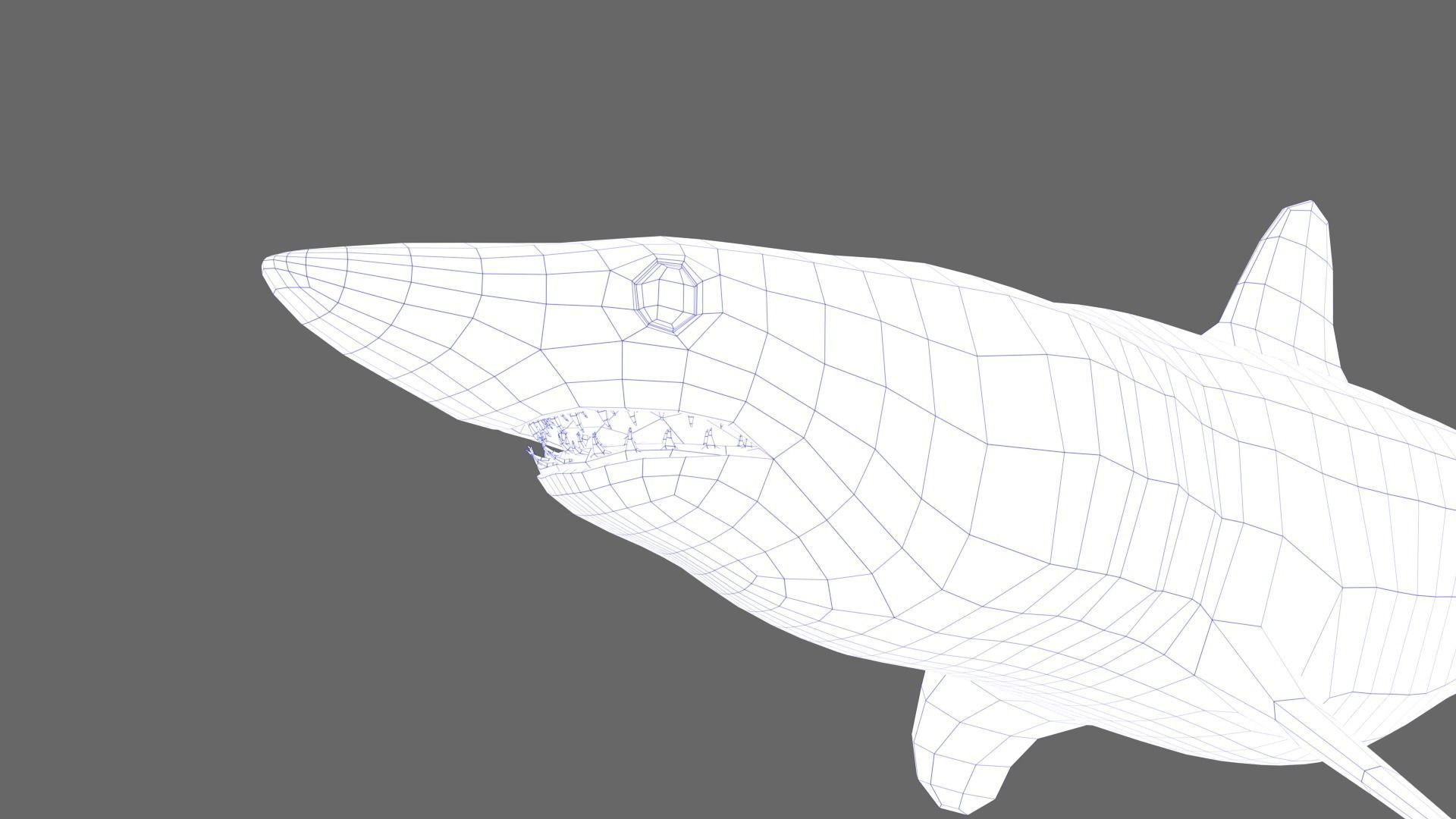 Shortfin Mako Shark 3D model_7