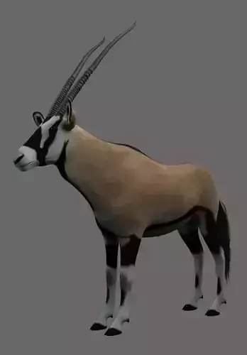 African Oryx Low-poly 3D model