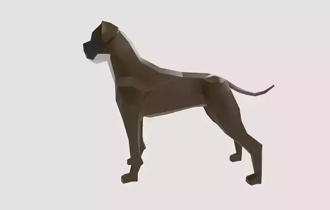 Dog Boxer Low-poly 3D model