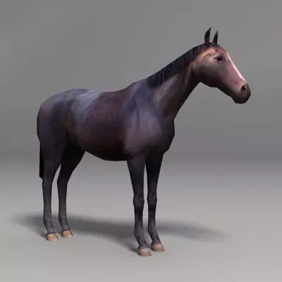 Horse Low-poly 3D model