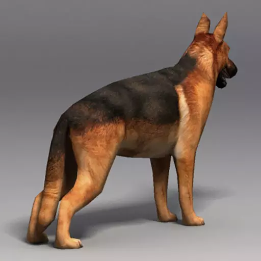 LowPoly Dog - German Shepherd  Low-poly 3D model_2