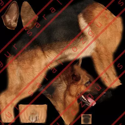 LowPoly Dog - German Shepherd  Low-poly 3D model_5