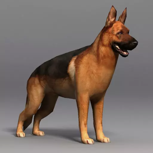 LowPoly Dog - German Shepherd  Low-poly 3D model_1