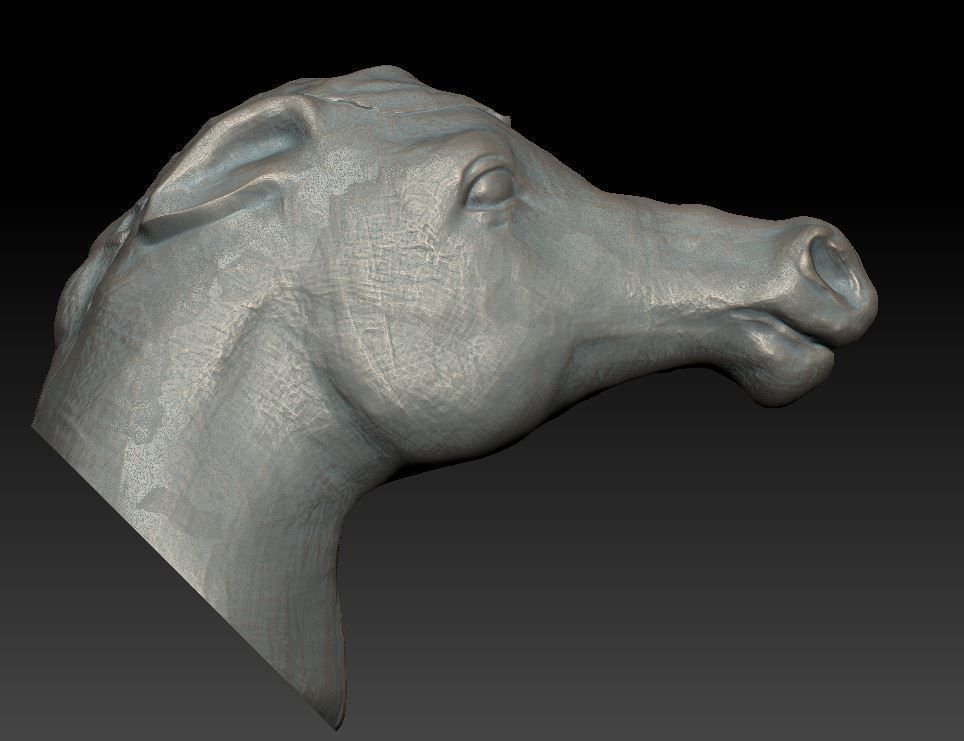horse head 3D print model_3