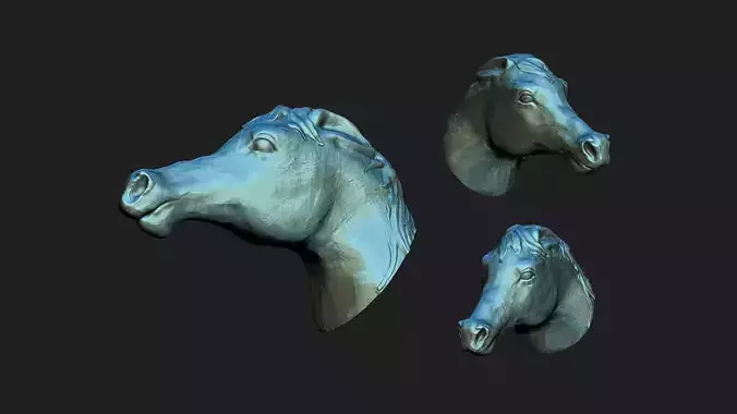 horse head