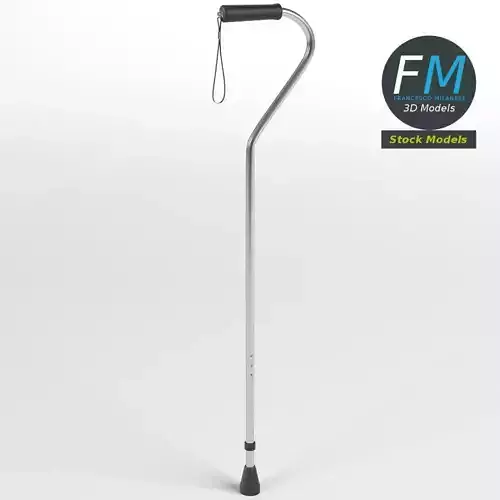 Offset cane 3D model