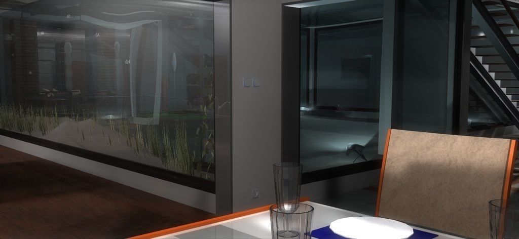 House 4 on field 3D model_14