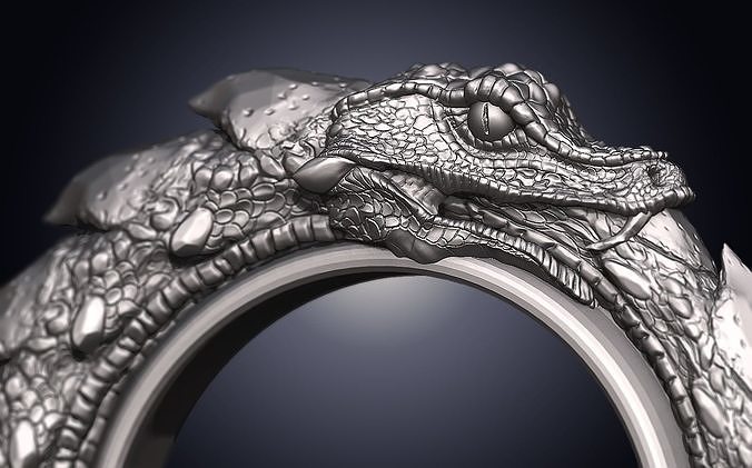 Snakering Oroboro 3D print model
