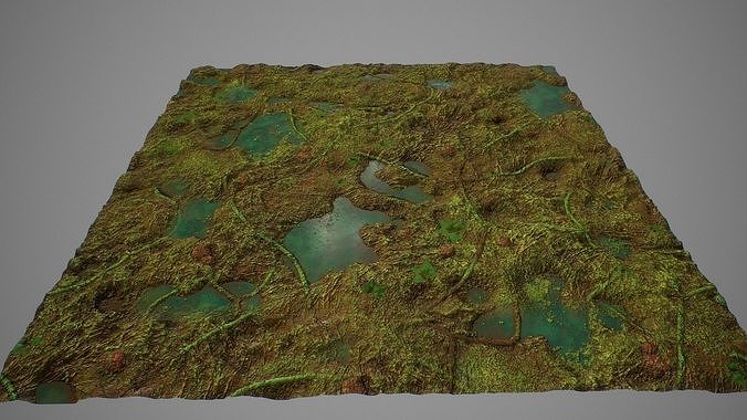 PBR seamless jungle swamp ground textures Texture