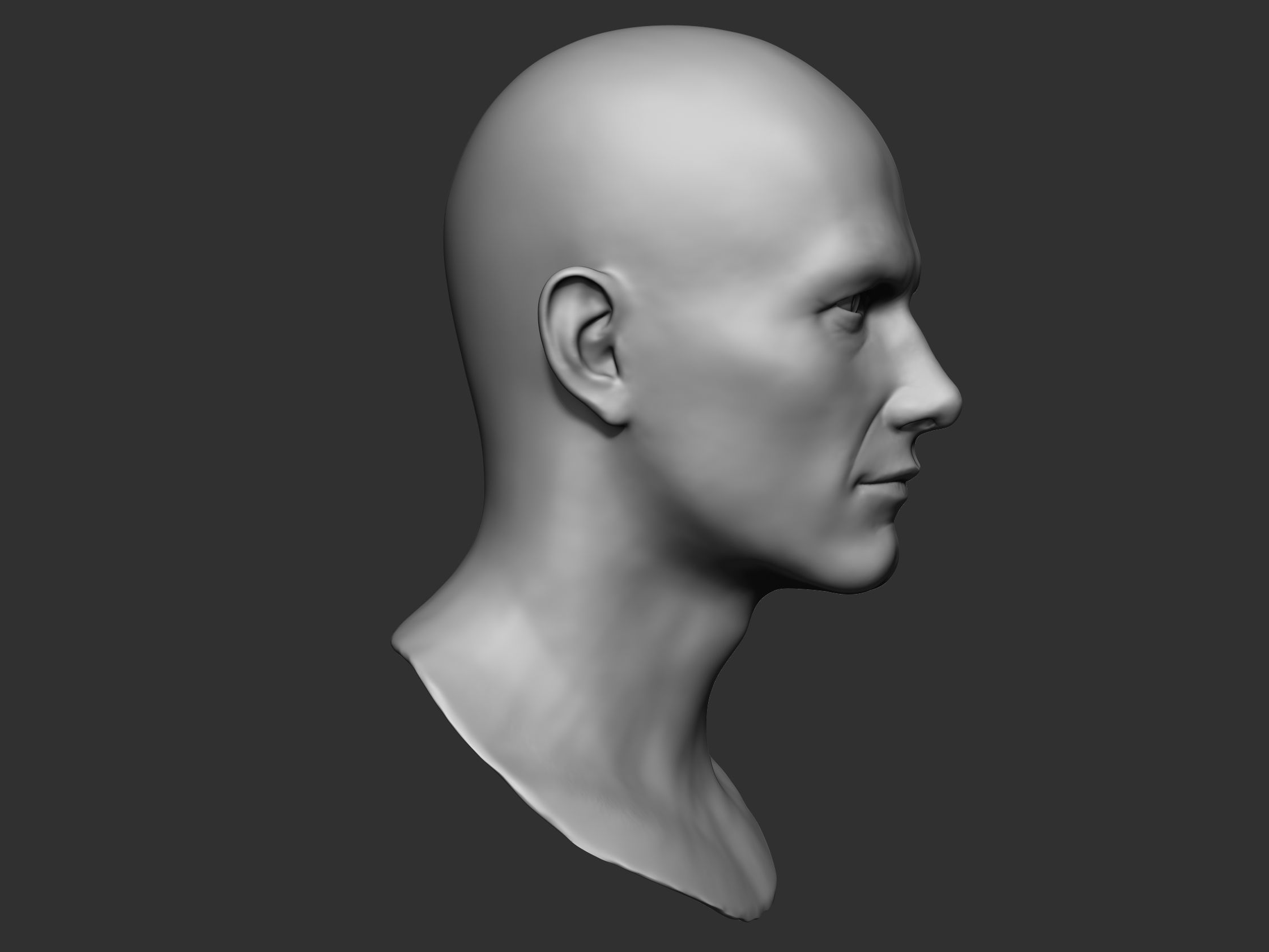 Male Head Sculpt 01 3D model_4