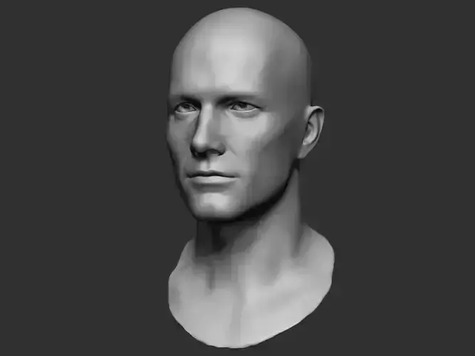 Male Head Sculpt 01 3D model