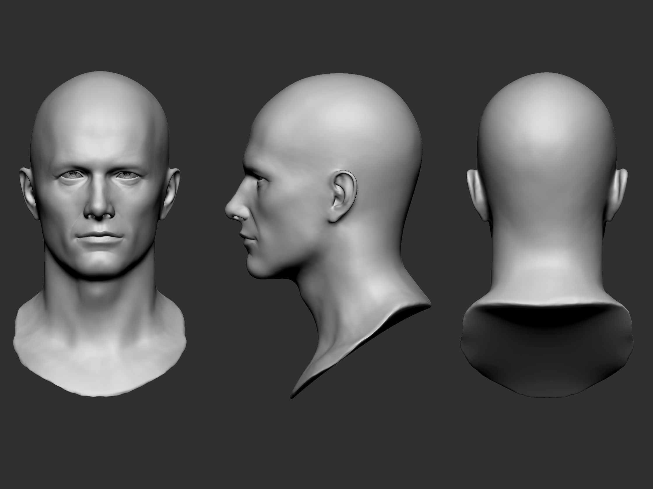 Male Head Sculpt 01 3D model_5