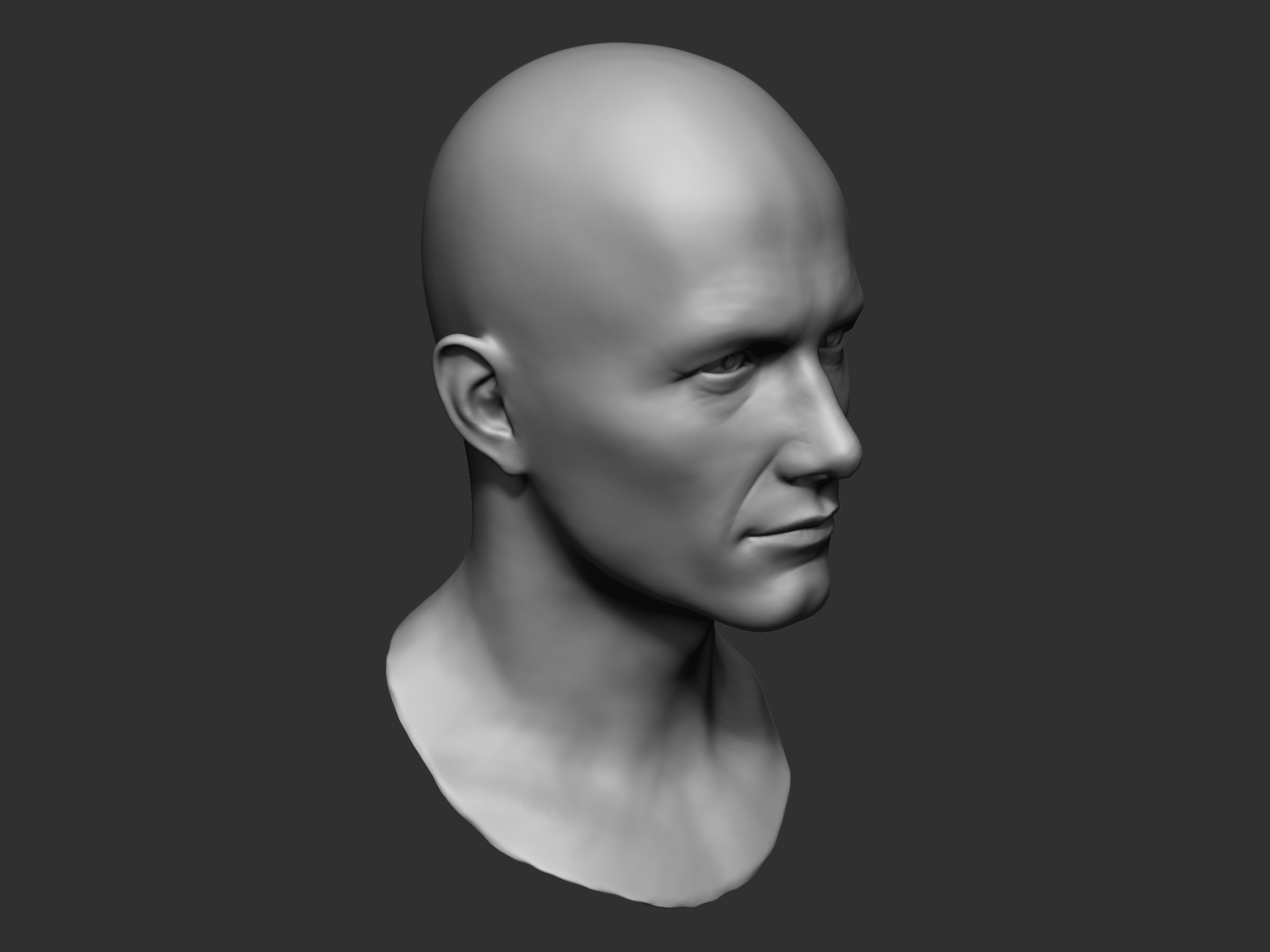 Male Head Sculpt 01 3D model_3
