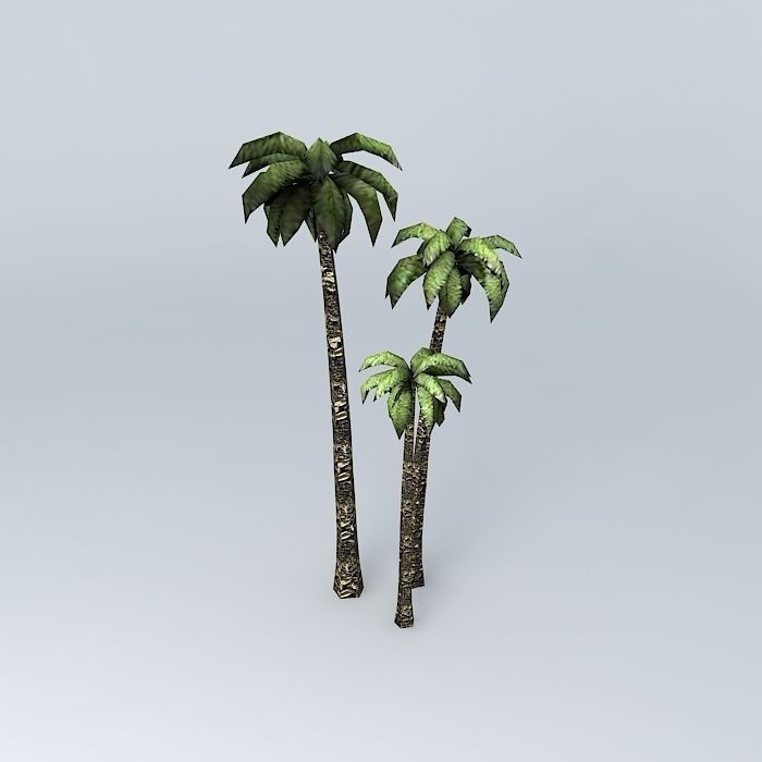 group of palm trees, low-polygon Free 3D model_1