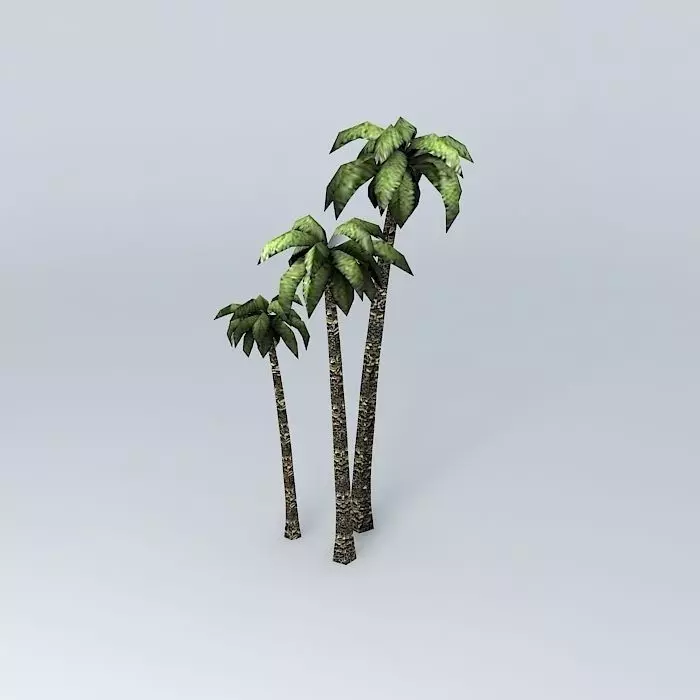 group of palm trees, low-polygon Free 3D model_0