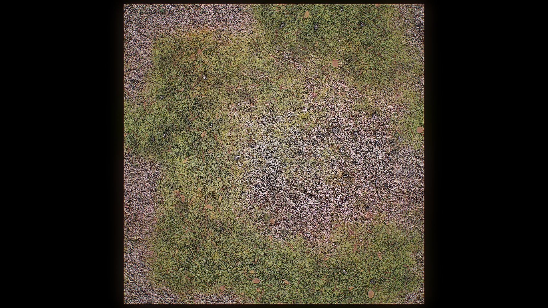 Ultimate Texture Library - Grasslands Texture_14